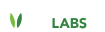 free GST logo